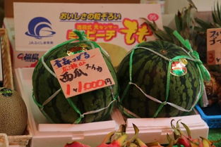 国产水果的文化价值 中日消费心理的分野